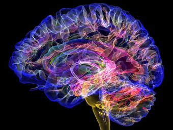 黄色片操BB永久性大脑植入物有助于严重头部损伤恢复